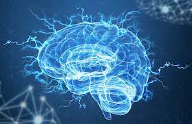 ردیابی سیگنال های الکتریکی در مغز
